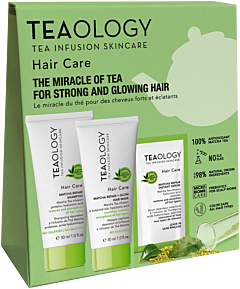 Teaology Matcha Repair Hair Care Kit