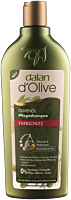Dalan d'Olive Shampoo Colour Protect