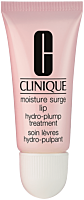 Clinique Moisture Surge Lip Hydro-Plump Treatment
